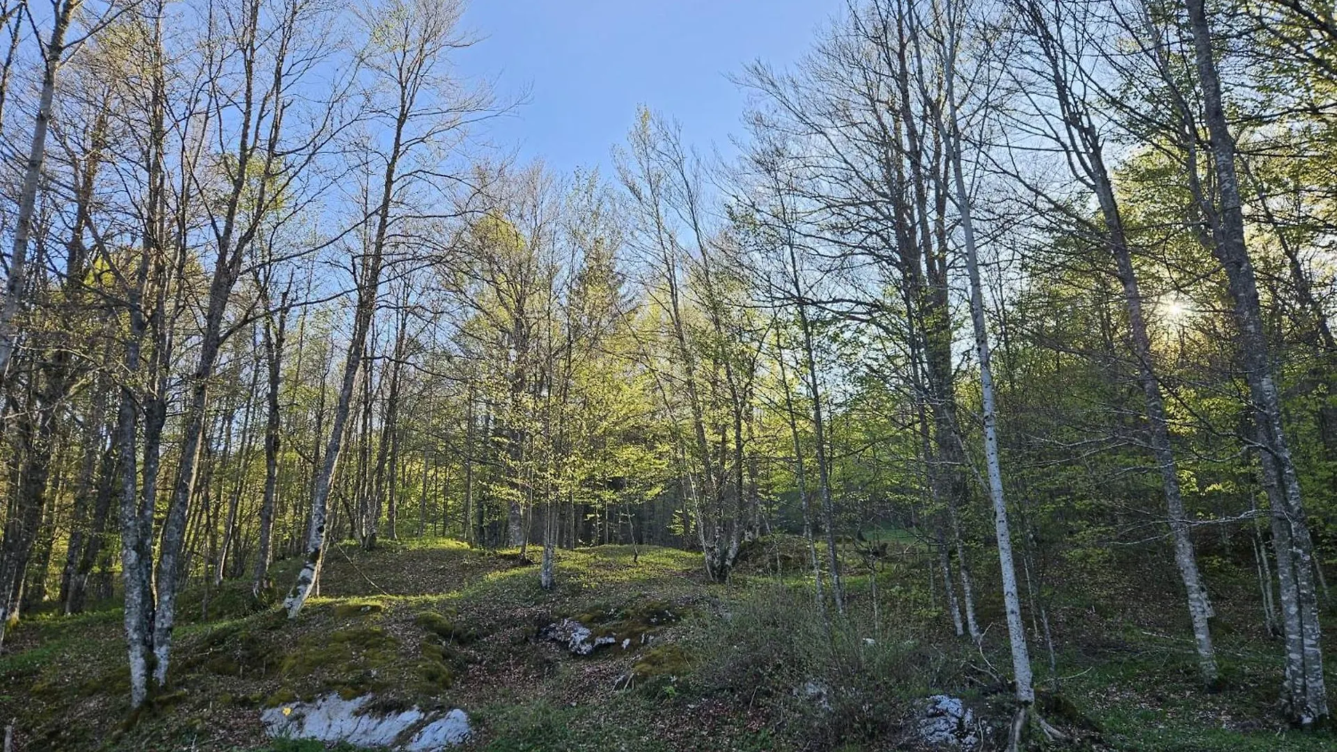 Koliba Japa Villa Delnice Semesterbostad